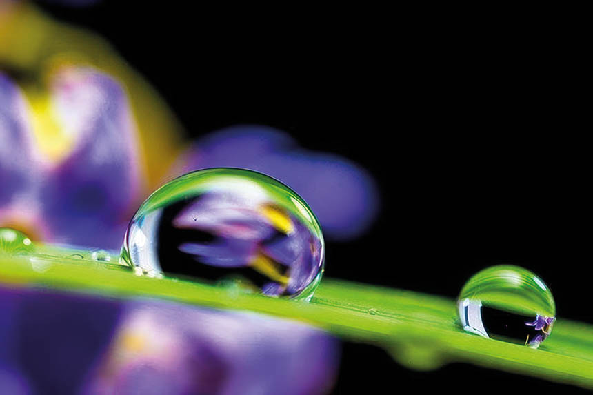 Steiger Galvanotechnique est spécialisée dans le dépôt galvanique et chimique sur métaux. Ici, le Vickersil, un revêtement de surface qui réduit l’abrasion et l’adhérence des polymères en fusion sur les outils. Source : Steiger Galvanotechnique